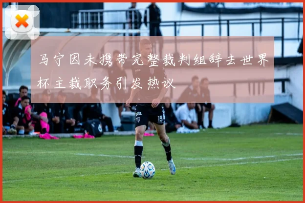 马宁因未携带完整裁判组辞去世界杯主裁职务引发热议